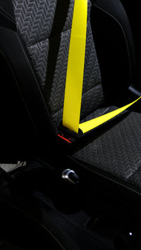 Muestra de Tono de Cinturón de Seguridad: Escoge el Color Perfecto Antes de Cambiarlo